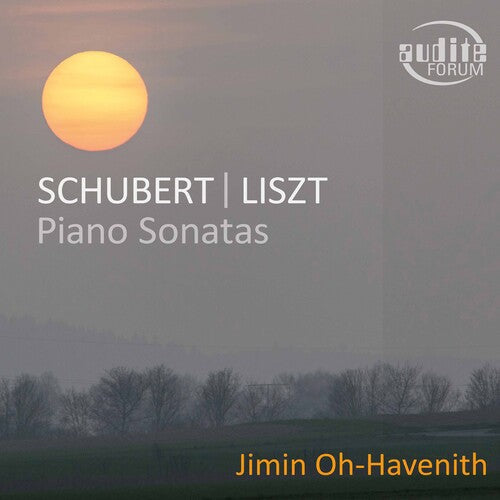 Liszt / Oh-Havenith: Piano Sonatas  ( CD )