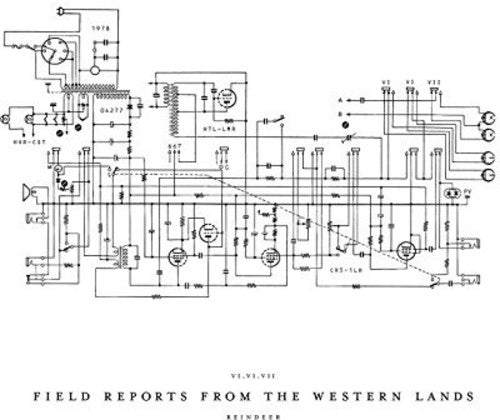James Reindeer: Field Reports From The Western Lands - Vinyl
