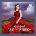 Rossini / Rebeka / Armiliato: Amor Fatale  ( CD )