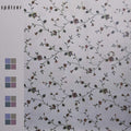 Spatzer: Derive - Vinyl