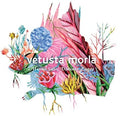 Vetusta Morla: Mismo Sitio Distinto Lugar - CD