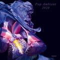 Various Artists: Pop Ambient 2020 (Various Artists)  ( CD )