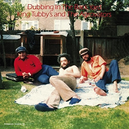 King Tubby's Agrovators: Dubbing In The Back Yard - VINYL