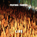 Peatbog Faeries: Live @ 25  ( CD )