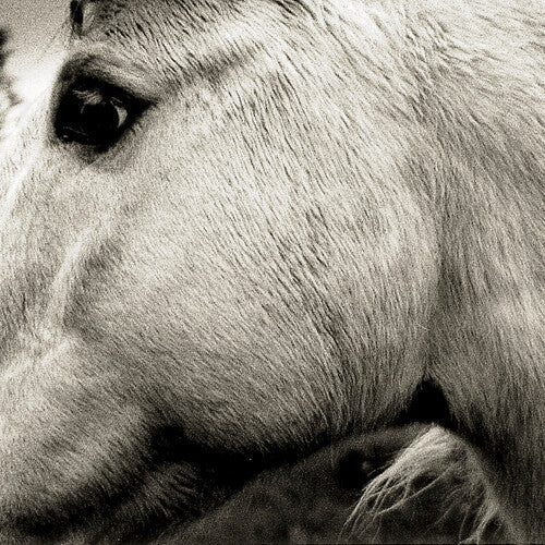 Bonny Light Horseman: Bonny Light Horseman  ( CD )