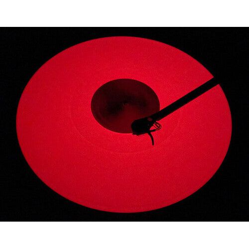 Warren Zevon - Excitable Boy ( VINYL )
