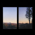Bonny Doon: Longwave - VINYL