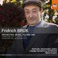 Bruk: Orchestral Music 1  ( CD )
