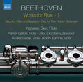 Beethoven / Kazunori: Works for Flute  ( CD )