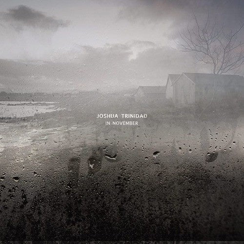 Joshua Trinidad: In November - VINYL
