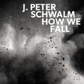 Jan-Peter Schwalm: How We Fall - Vinyl