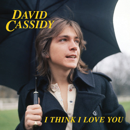 David Cassidy: I Think I Love You - 7-INCH SINGLE