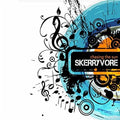 Skerryvore: Chasing The Sun  ( CD )