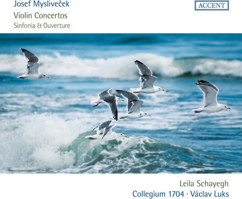 Myslivecek / Schayegh: Violin Concertos  ( CD )