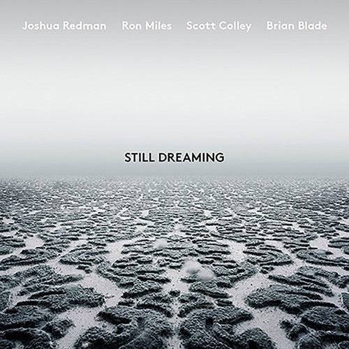 Joshua Redman: Still Dreaming - VINYL