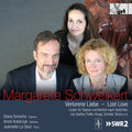 Schweikert / Tomsche: Lost Love  ( CD )