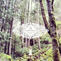 Dana Sipos: Trick Of The Light  ( CD )