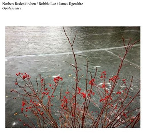 Norbert Rodenkirchen: Opalescence - Vinyl
