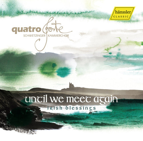 Various Artists: Until We Meet Again  ( CD )
