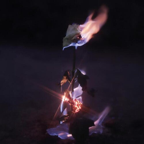 Farwarmth: Momentary Glow  ( CD )