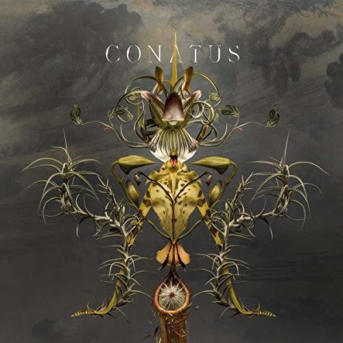 Joep Beving: Conatus  ( CD )
