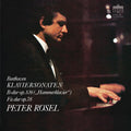 Peter Rosel: Klaviersonaten  ( CD )