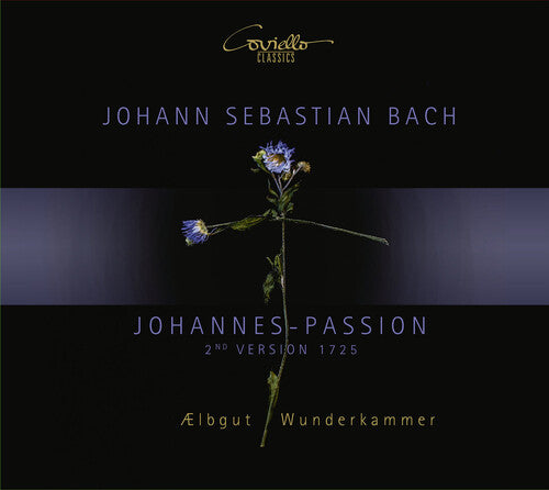 Aelbgut  Wunderkammer: Passion  ( CD )