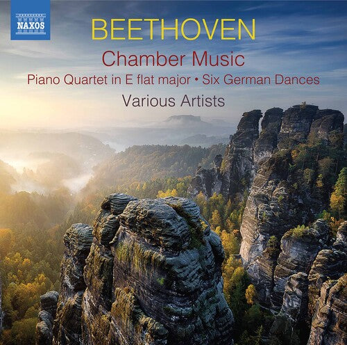 Various: Chamber Music  ( CD )