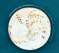 Steve Coleman & Five Elements: Live At The Village Vanguard Vol. I (The Embedded Sets) - CD