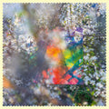 Four Tet: Sixteen Oceans - Vinyl