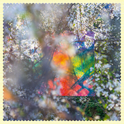 Four Tet: Sixteen Oceans - Vinyl