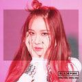 Blackpink: Ddu-Du Ddu-Du (Rose Version) - CD