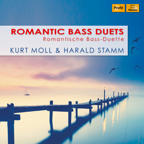 Dvorak / Stamm / Grunelius: Romantic Bass Duets  ( CD )