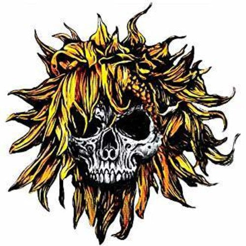 Sunflower Dead: C.O.M.A. - CD