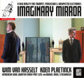 Koen Plaetinck: Imaginary Mirror  ( CD )