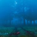 Various Artists: Commune - Vinyl