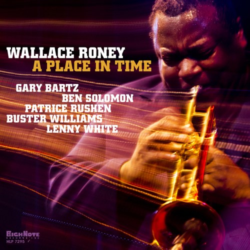 Wallace Roney: A Place In Time - VINYL