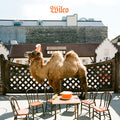 Wilco - Wilco - Picture Disc LP