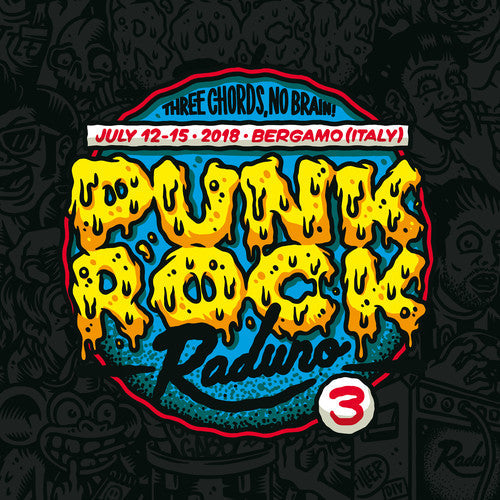 Various Artists: Punk Rock Raduno 3 - VINYL