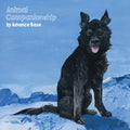 Advance Base: Animal Companionship - VINYL