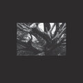R.A.N.: Seb-i Yelda - 12-INCH SINGLE