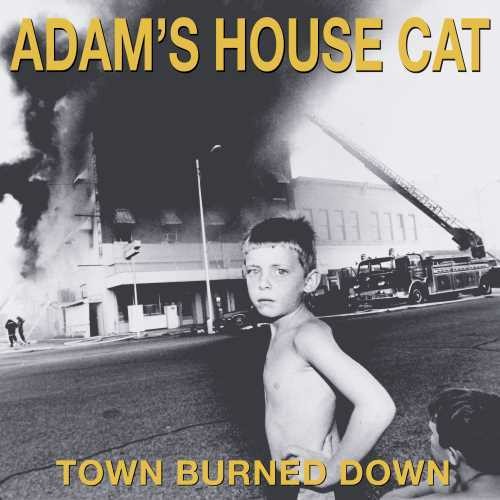 Adam's House Cat: Town Burned Down - VINYL