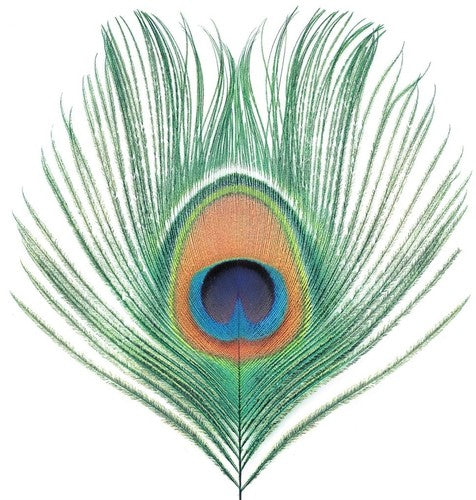 XTC: Apple Venus Vol 1 - VINYL