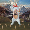 Anestie Gomez: Hungry Bears Don't Dance - 12-INCH SINGLE