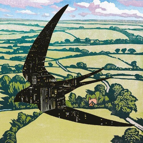 Bibio: Sleep On The Wing - VINYL