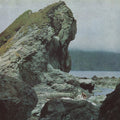Motorama: Many Nights - CD