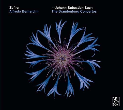 Bach, J.S. / Zefiro / Bernardini: Brandenburg Concertos  ( CD )