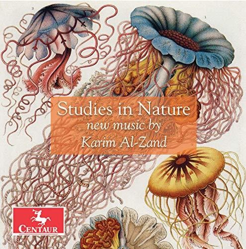 Al-Zand / Roitstein / Hauschildt: Studies in Nature  ( CD )
