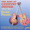 Various Artists: Vol. 1-Best of Country Guitar  ( CD )