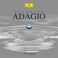 Various Artists: Relaxing Adagio: The Platinum Collection / Various  ( CD )
